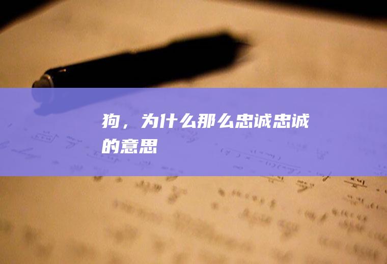狗，为什么那么忠诚(忠诚的意思)