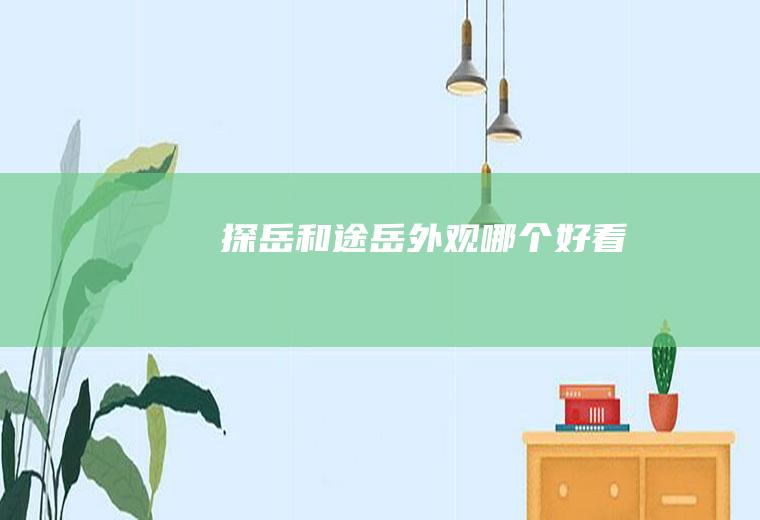 探岳和途岳外观哪个好看