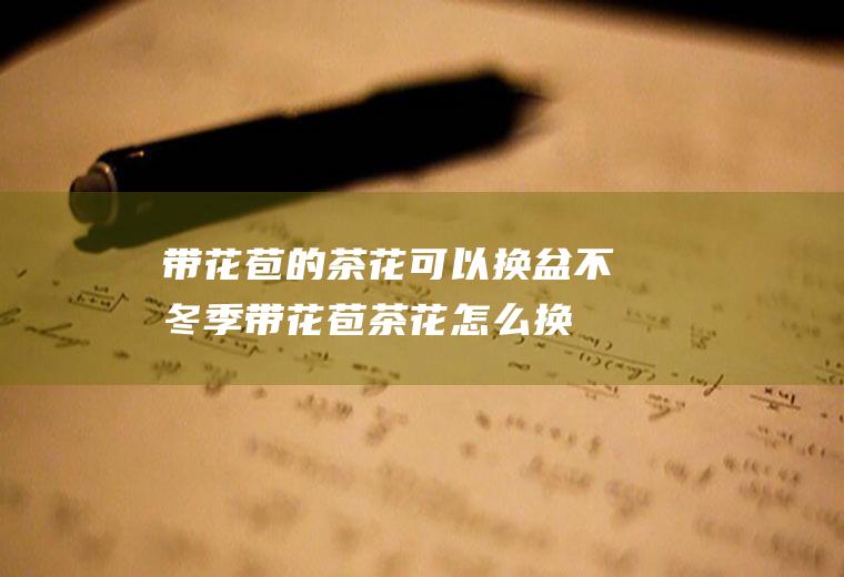 带花苞的茶花可以换盆不(冬季带花苞茶花怎么换盆)