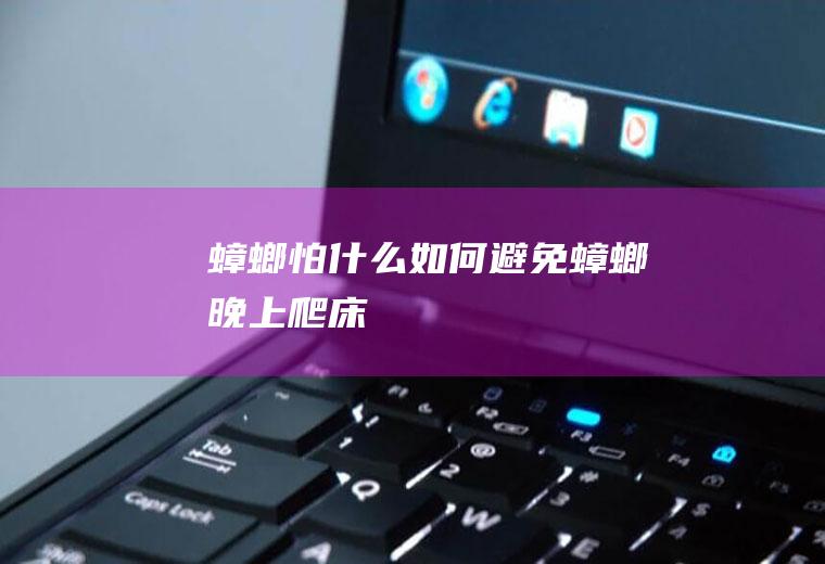 蟑螂怕如何避免蟑螂晚上爬床