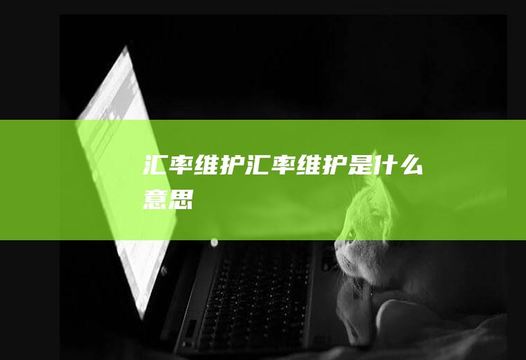 汇率维护汇率维护是什么意思