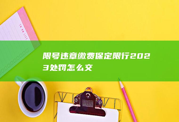 限号违章缴费,保定限行2023处罚怎么交
