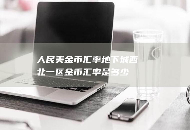 人民美金币地下城西北一区金币是多少