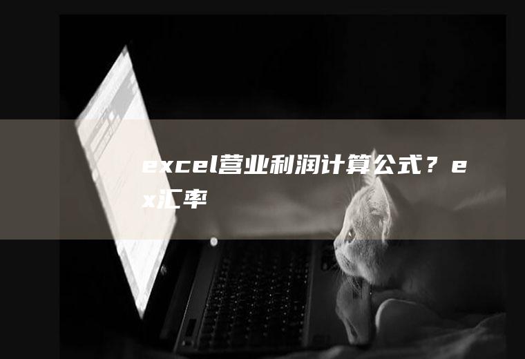 excel营业利润计算公式？ex汇率