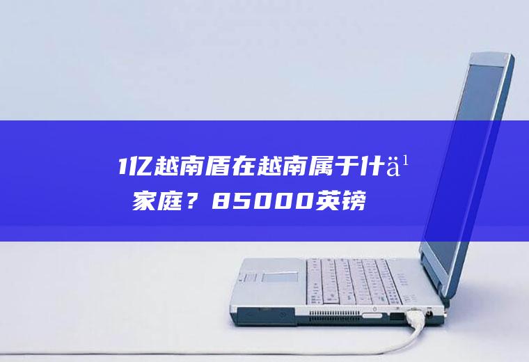 1亿越南盾在越南属于什么家庭？85000英镑是多少人民帀？