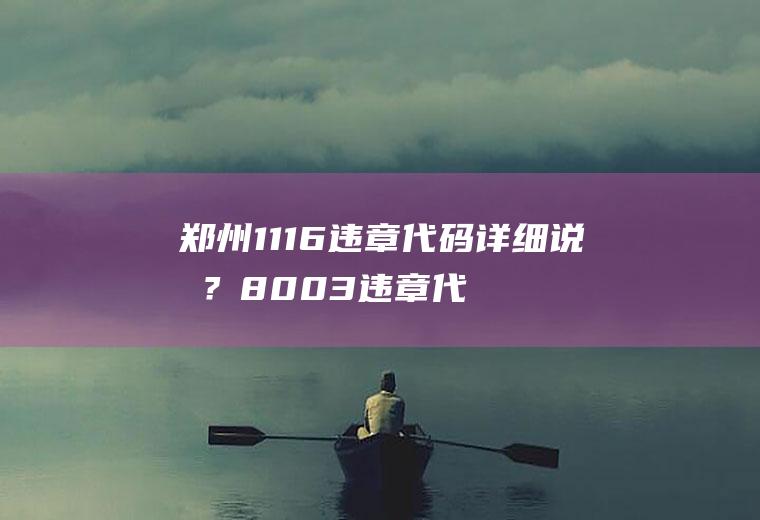 郑州1116违章代码详细说明？8003违章代码是什么意思？