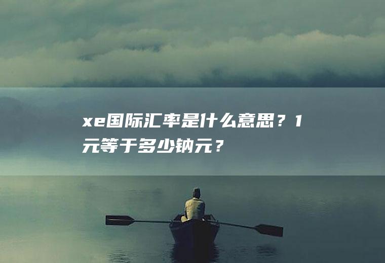 xe国际汇率是什么意思？1元等于多少钠元？