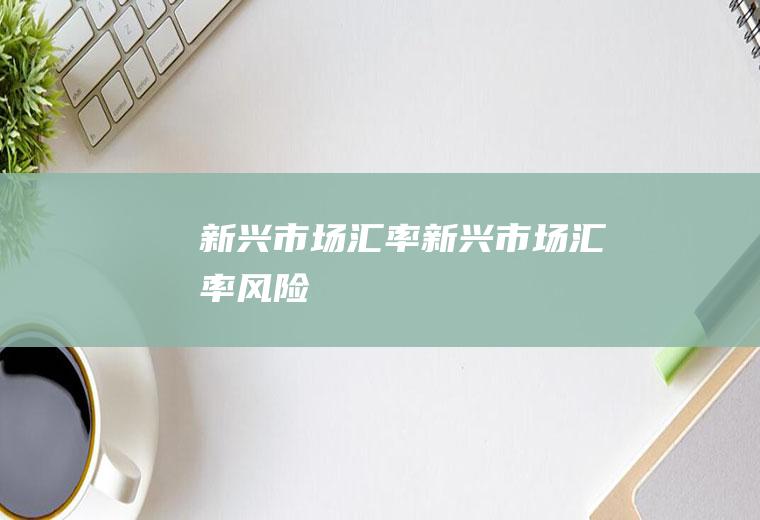 新兴市场汇率新兴市场汇率风险