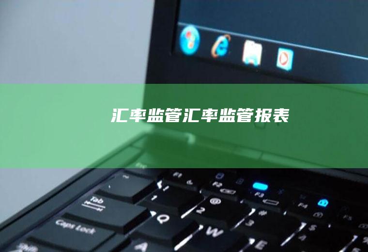 汇率监管汇率监管报表