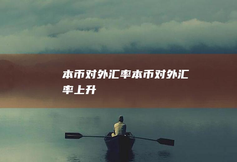 本币对外汇率本币对外汇率上升