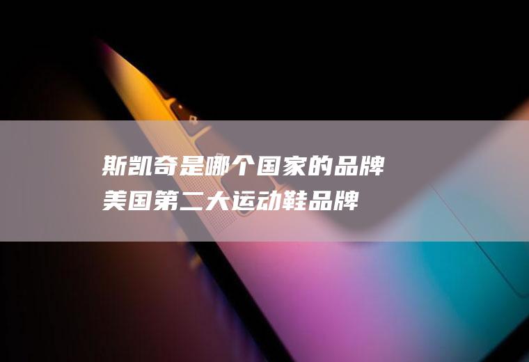 斯凯奇是哪个国家的品牌(美国第二大运动鞋品牌?)