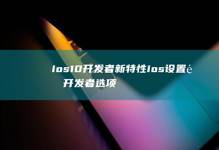 ios10开发者新特性ios设置里开发者选项有什么用