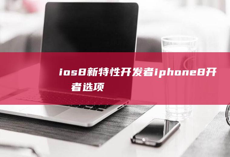 ios8新特性开发者iphone8开发者选项设置