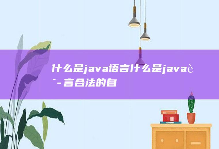 什么是java语言什么是java语言合法的自定义标识符