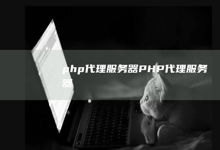 php代理服务器PHP代理服务器