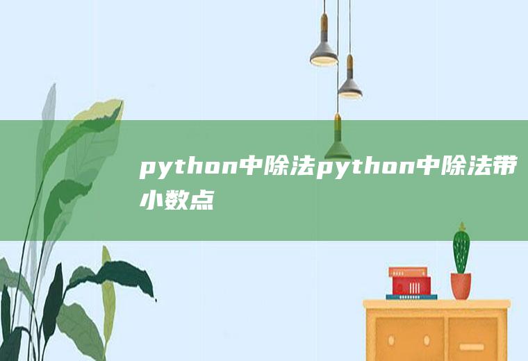 python中除法python中除法带小数点