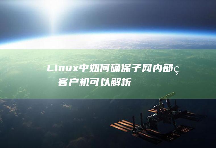 Linux中如何确保子网内部的客户机可以解析服务器的域名