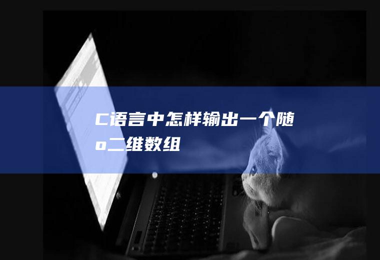 C语言中怎样输出一个随机二维数组