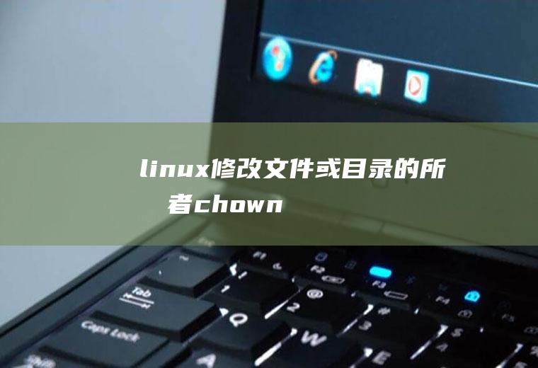 linux修改文件或目录的所有者(chown)和用户组