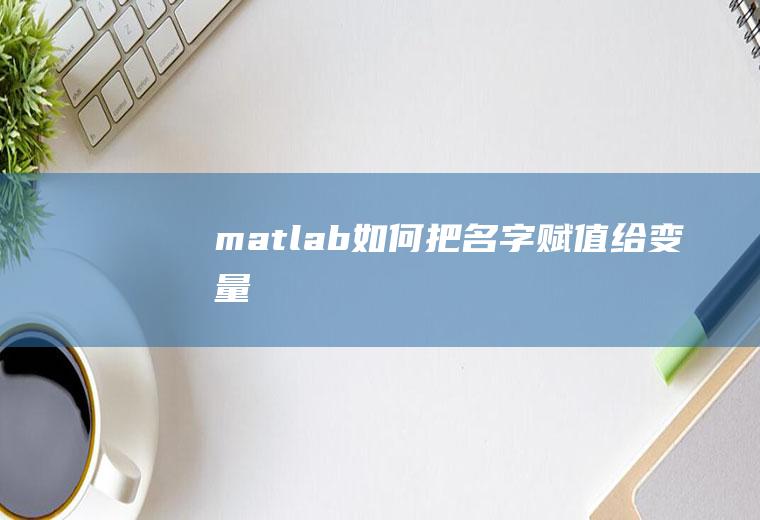 matlab如何把名字赋值给变量