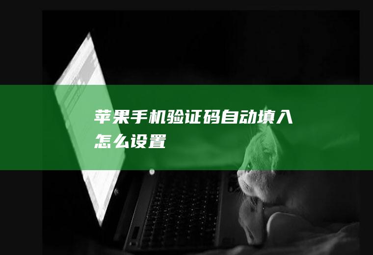 苹果手机验证码自动填入怎么设置