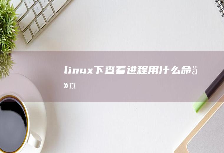 linux下查看进程用什么命令