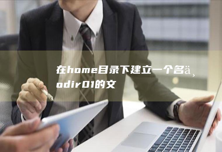 在/home目录下建立一个名为dir01的文件夹,在dir01下创建一个名为file01的文件