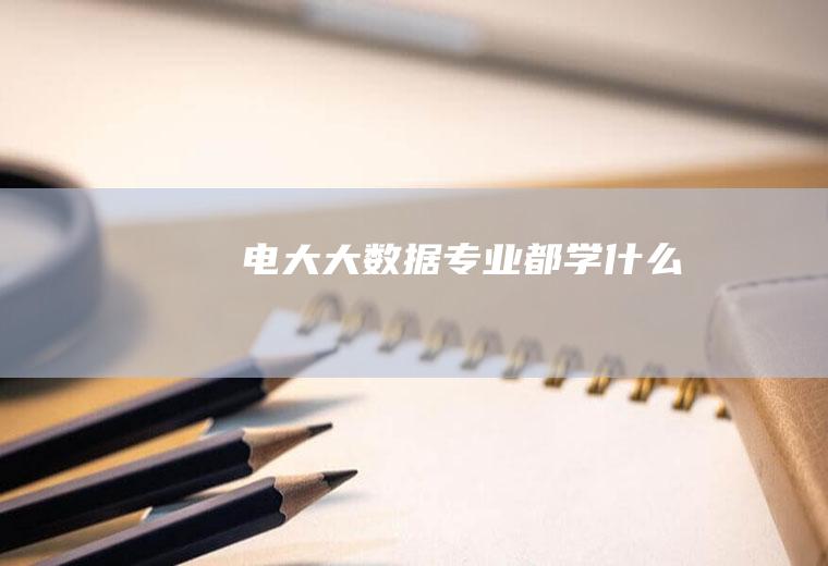电大大数据专业都学什么