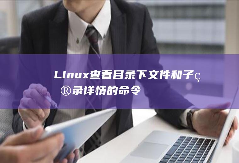 Linux查看目录下文件和子目录详情的命令（ls）