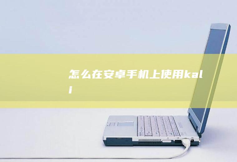 怎么在安卓手机上使用kali