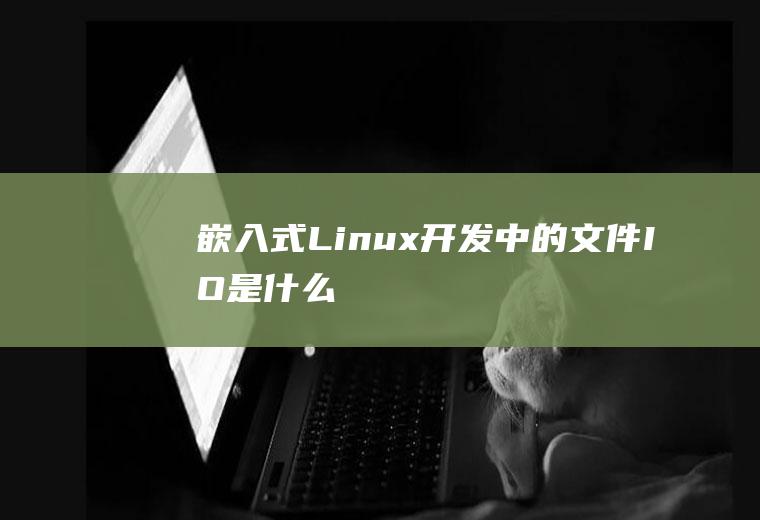 嵌入式Linux开发中的文件I/O是什么