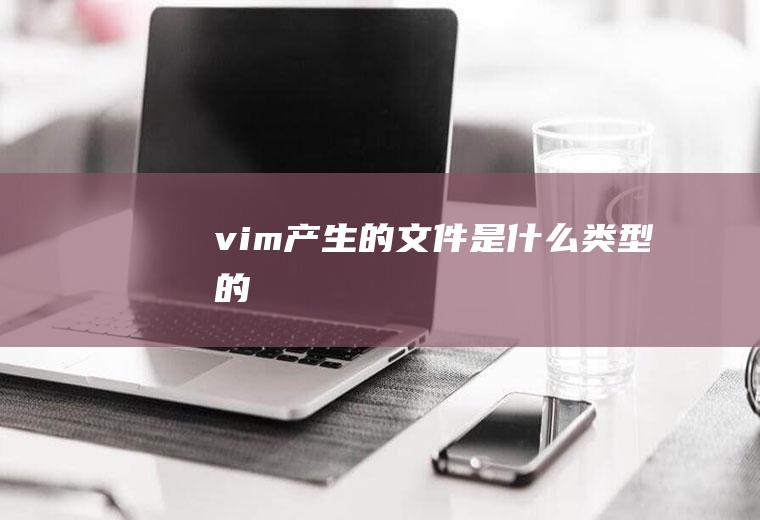 vim产生的文件是什么类型的