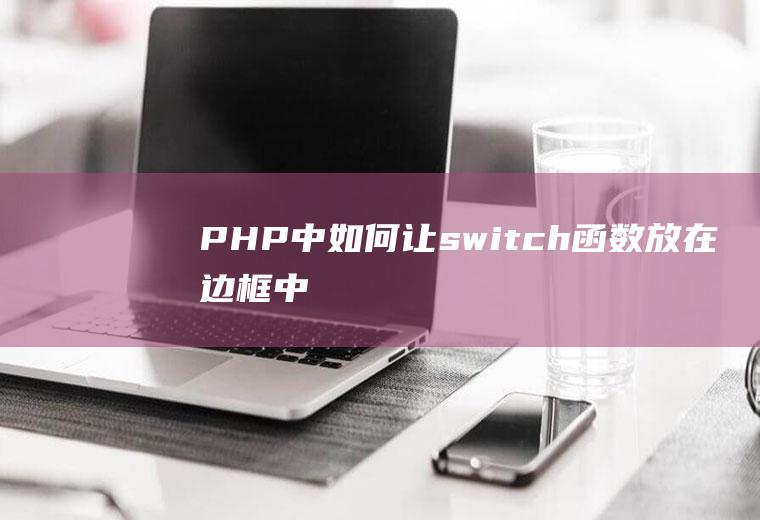 PHP中如何让switch函数放在边框中