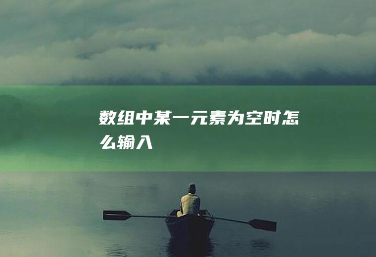 数组中某一元素为空时怎么输入