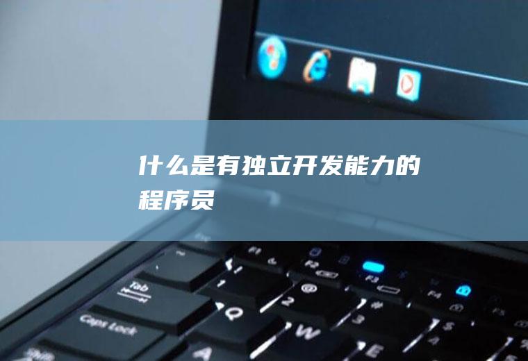 什么是有独立开发能力的程序员
