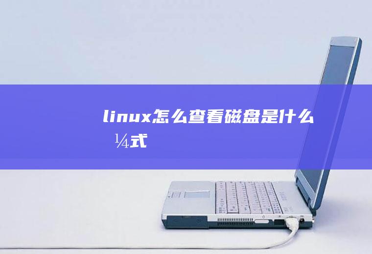 linux怎么查看磁盘是什么格式