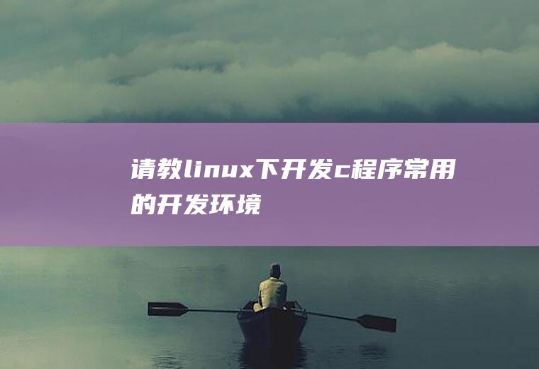 请教linux下开发c++程序常用的开发环境?特别是大学里常用的