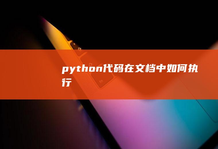 python代码在文档中如何执行
