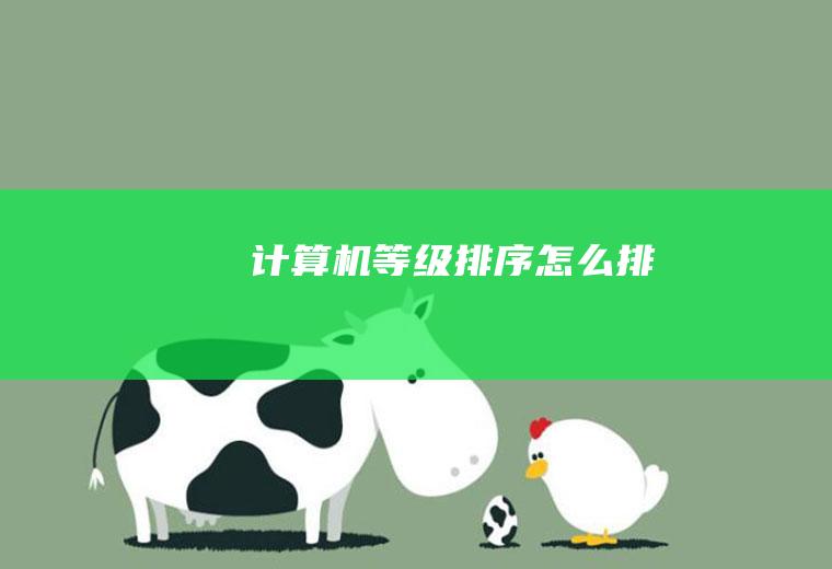 计算机等级排序怎么排
