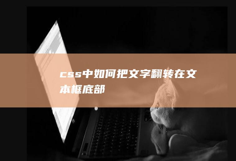 css中如何把文字翻转在文本框底部
