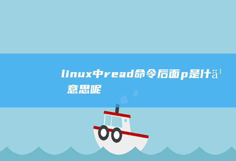 linux中read命令后面-p是什么意思呢