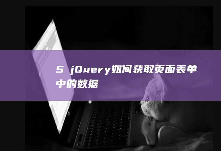 5 jQuery如何获取页面表单中的数据