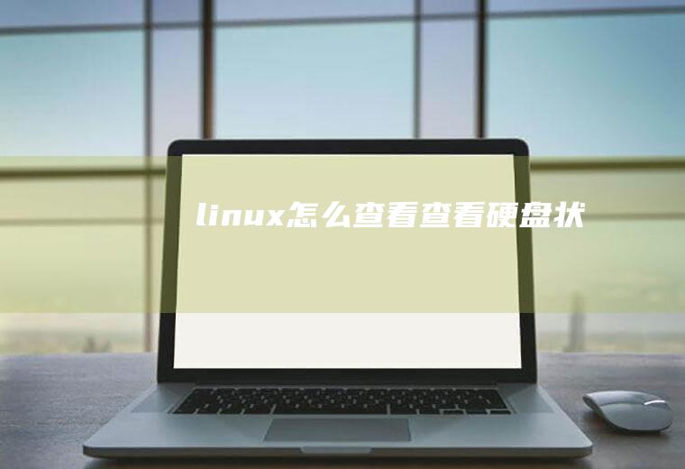 linux怎么查看查看硬盘状态