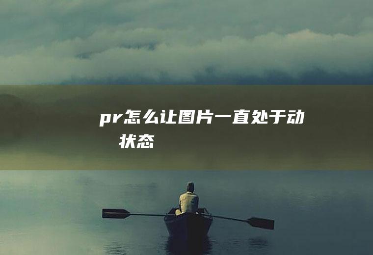 pr怎么让图片一直处于动态状态