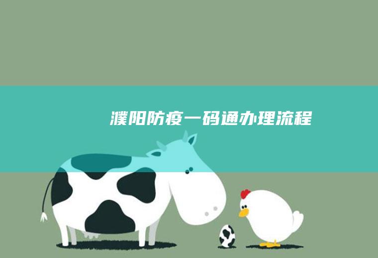 濮阳防疫一码通办理流程