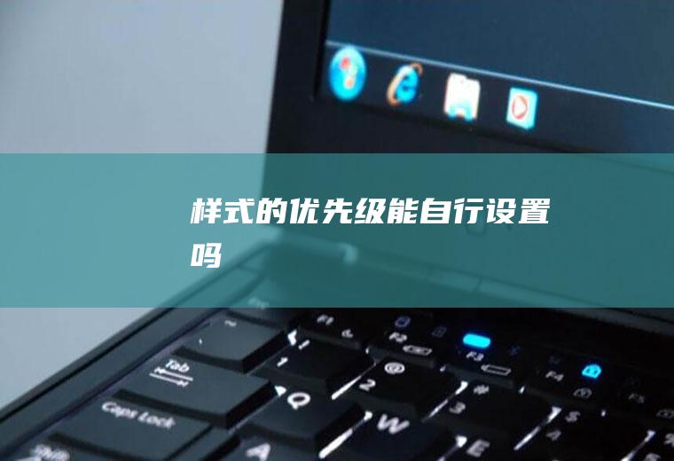 样式的优先级能自行设置吗