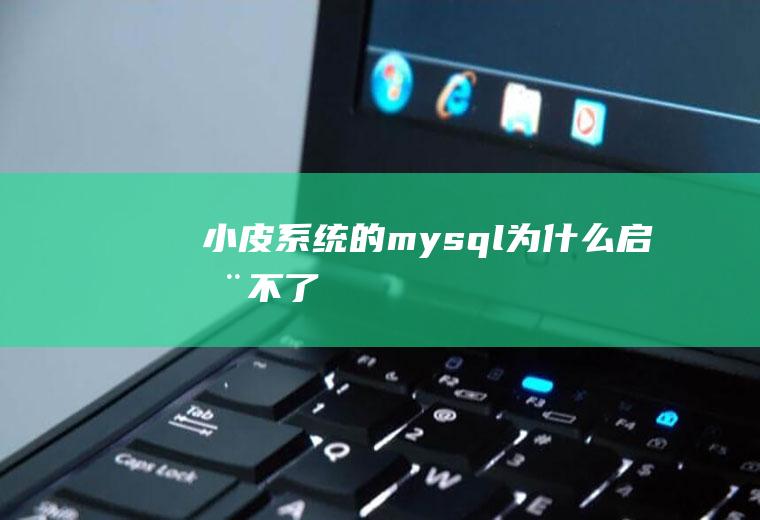 小皮系统的<a href=