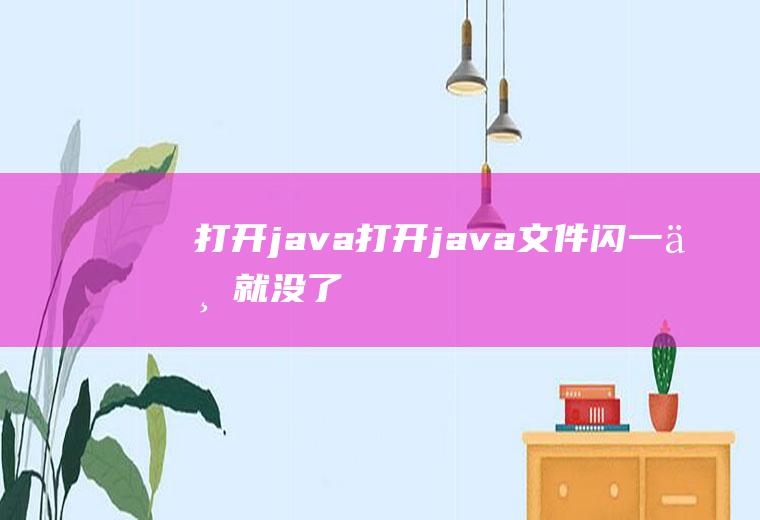 打开java打开java文件闪一下就没了