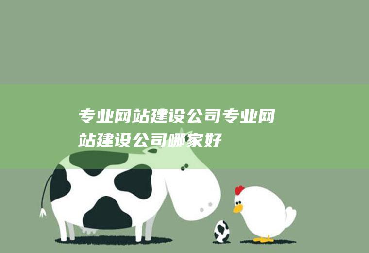 专业网站建设公司专业网站建设公司哪家好