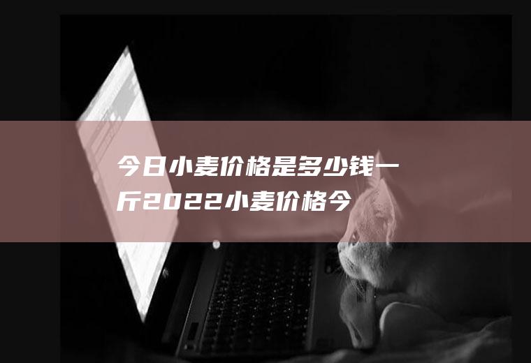 今日小麦价格是多少钱一斤(2022小麦价格今日价一斤多少钱？保护价是多少钱一斤？附最新价格)